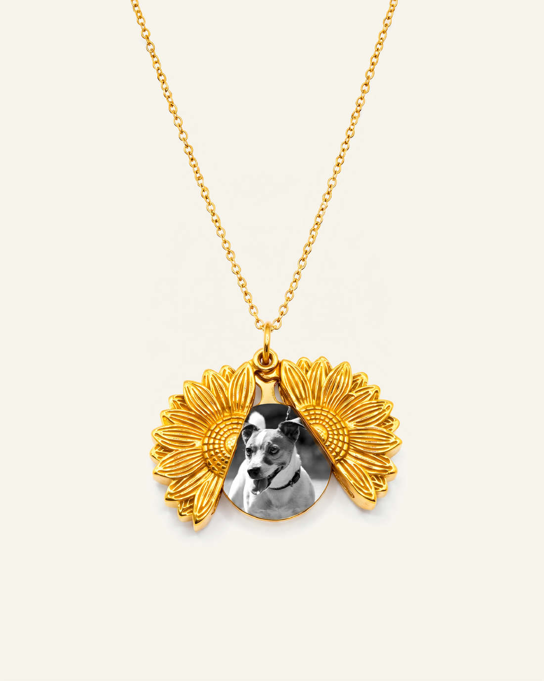 My Little Sunshine – Personalized Pet Photo Necklace